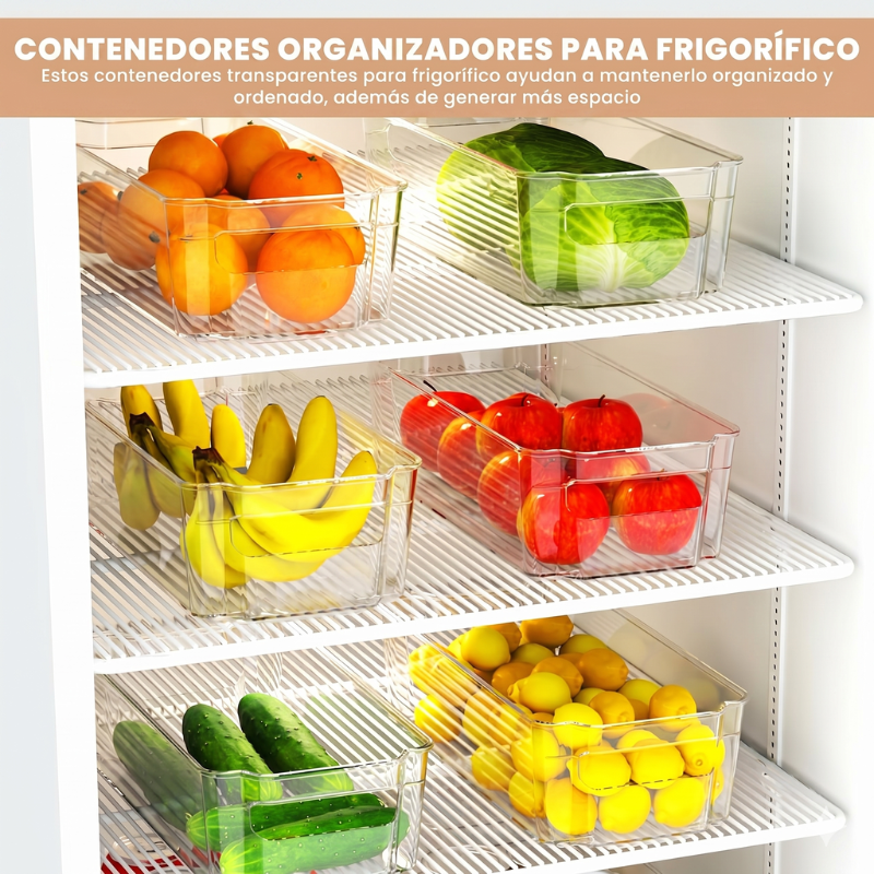 ORGANIZADOR NEVERA x6