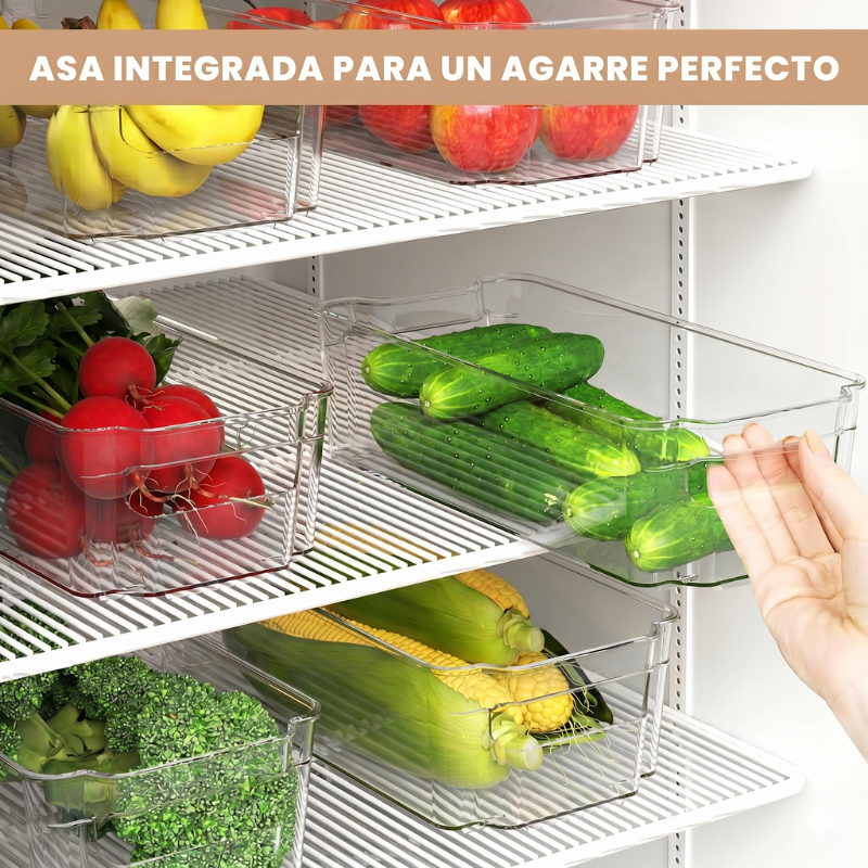 ORGANIZADOR NEVERA x6