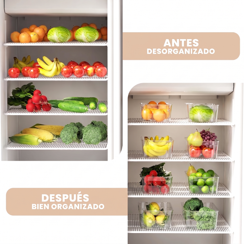 ORGANIZADOR NEVERA x6